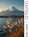 Japanese silver grass seen at Lake Kawaguchi and Lake Yamanaka 127012431