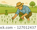 Rice planting landscape 127012437
