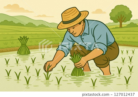 Rice planting landscape 127012437