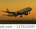 Passenger plane taking off 127012445