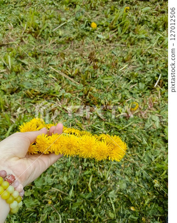 Person's Hand with Multi-Colored Beaded Bracelet Delicately Holding Handcrafted Yellow Dandelion Garland, Showcasing Natural Beauty and Springtime Craftsmanship, Against Freshly Cut Grass Person's Hand with Multi-Colored Beaded Bracelet Delicately Holding Handcrafted Yellow Dandelion Garland, Showcasing Natural Beauty and Springtime Craftsmanship, Against Freshly Cut Grass 127012506