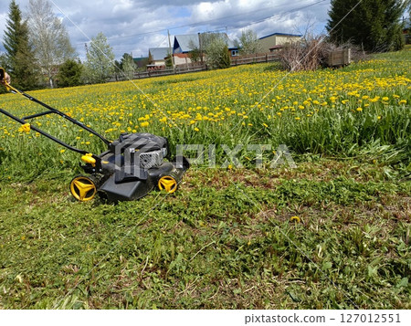 Lawnmower Actively Cutting Swath through Dandelion Field, Showing Spring Yard Work Progress, Against Residential Houses and Cloudy Sky Lawnmower Actively Cutting Swath through Dandelion Field, Showing Spring Yard Work Progress, Against Residential Houses and Cloudy Sky 127012551