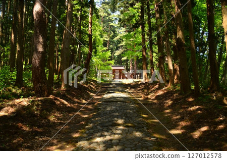 The inner shrine approach to Hanitsu Shrine, the guardian deity of Aizu, in Minesan, Inawashiro Town, Fukushima Prefecture The inner shrine approach to Hanitsu Shrine, the guardian deity of Aizu, in Minesan, Inawashiro Town, Fukushima Prefecture 127012578