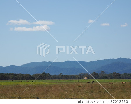 Scenery near Pindi Pindi along Bruce Hwy, Queensland, Australia Scenery near Pindi Pindi along Bruce Hwy, Queensland, Australia 127012580