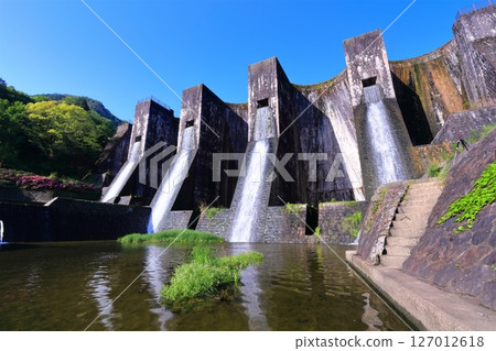 [Kagawa Prefecture] Azaleas blooming in spring at the Honenike Dam (Hoenike Weir), the first stone masonry multiple arch dam in the country 127012618
