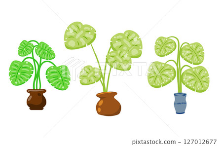 Green indoor plants in colorful pots. Flat cartoon vector illustration. Green indoor plants in colorful pots. Flat cartoon vector illustration. 127012677