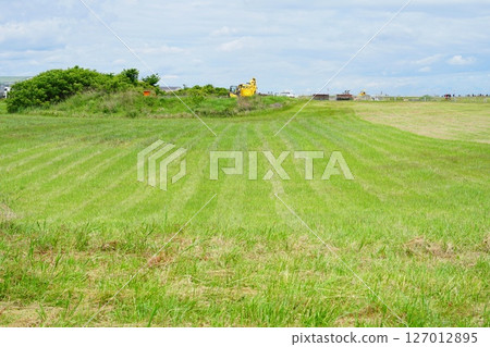 綠色的一座小山 綠色的一座小山 127012895