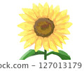 Watercolor style close-up illustration of a sunflower 127013179