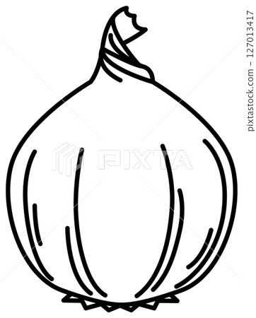 Simple and clean onion line drawing Simple and clean onion line drawing 127013417