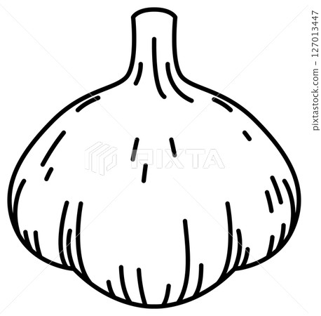 Simple and clean garlic line drawing 127013447