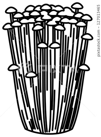 Simple and clean line drawing of enoki mushroom Simple and clean line drawing of enoki mushroom 127013465