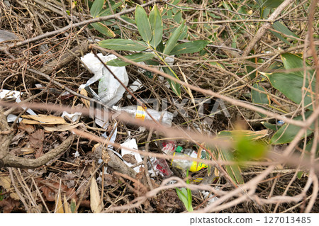 Garbage dumped in bamboo thickets, illegal dumping, environmental destruction, garbage problem 127013485