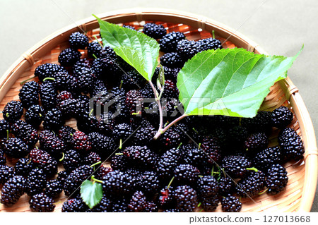 Black ripe mulberries Black ripe mulberries 127013668