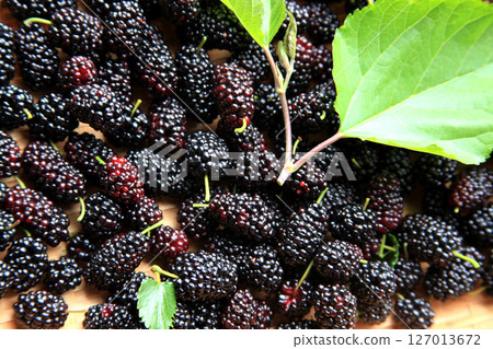 Black ripe mulberries Black ripe mulberries 127013672