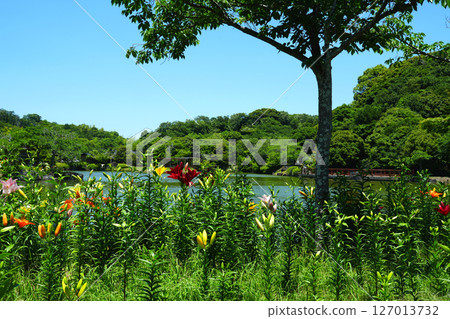 袋井市香井百合園 127013732
