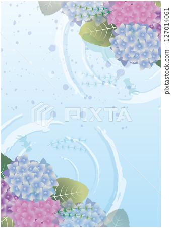 Hydrangea scenery in the summer rainy season 127014061