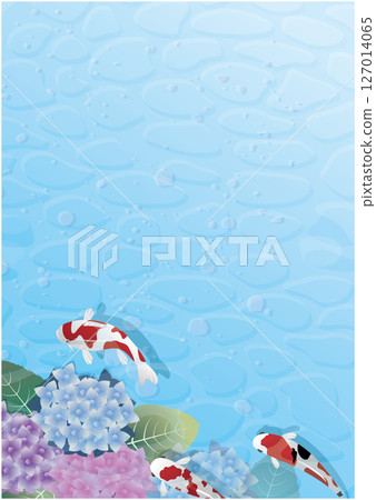 夏雨季的繡球花風景 127014065