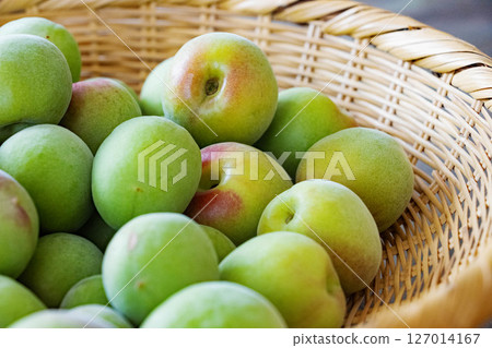 Harvested green plums in a bamboo basket 127014167
