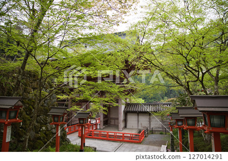 Kurama Temple: The tranquil approach to the temple and green maples 3 Kurama Temple: The tranquil approach to the temple and green maples 3 127014291
