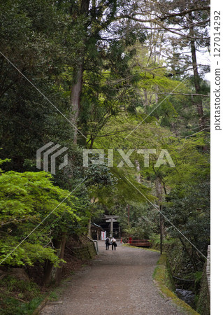 Kurama Temple: Praying together along the heart-breaking approach to the temple 1 127014292