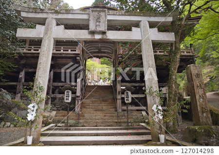 Yuki Shrine: The majestic torii gate and worship hall 2 Yuki Shrine: The majestic torii gate and worship hall 2 127014298