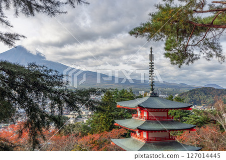 Chureito Pagoda framed by pine branches with Mount Fuji in the distance Chureito Pagoda framed by pine branches with Mount Fuji in the distance 127014445