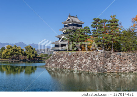 Matsumoto Castle reflected in calm moat water surrounded by pine trees and distant mountains 127014451