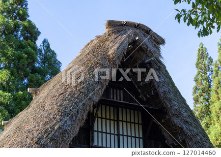 Detailed view of a gassho-style thatched roof showing traditional construction elements 127014460