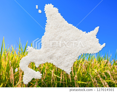 A map of Hokkaido made from rice 127014501