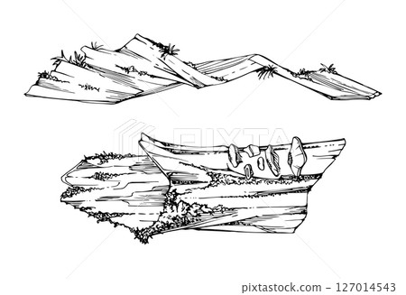 Fallen tree trunk log bark covered in moss lichen fungus growth. Forest woodland floor detritus biodiversity habitat. Single element vector ink hand drawn illustration. Botanical study, wildcrafting 127014543