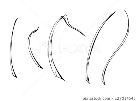 Long thin grass blades leaves, stalks flowing curves lines. Single element isolated botanical illustration hand drawn in vector ink. Florist bouquets, wild garden seed, natural products packaging 127014545