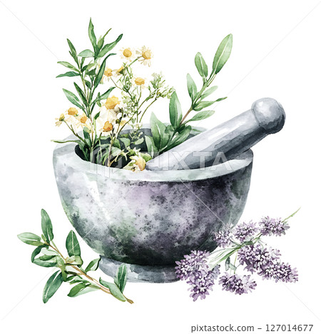Watercolor illustration of mortar and pestle with fresh herbs 127014677
