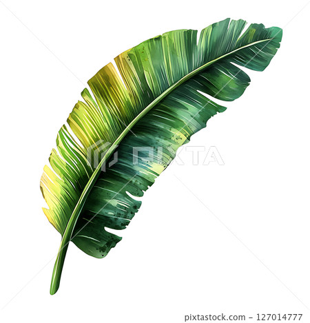 Vibrant green tropical leaf with detailed texture and natural 127014777
