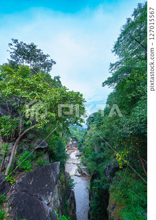 Scenic River Gorge with Lush Greenery Scenic River Gorge with Lush Greenery 127015567