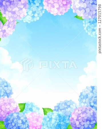 Hydrangea, blue sky, end of the rainy season 127015798