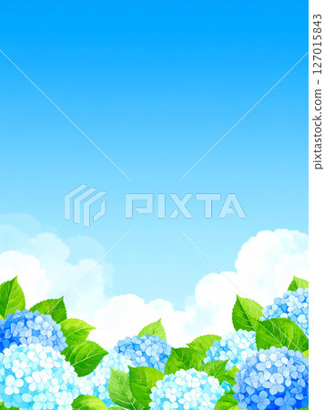 Hydrangea, blue sky, end of the rainy season 127015843