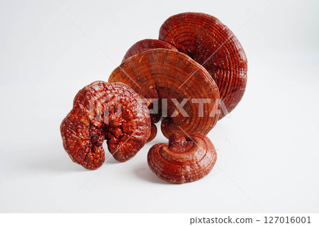 Lingzhi or Reishi mushroom with capsules, organic natural healthy food. 127016001