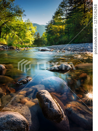 A soothing natural landscape with clear flowing water 127016268