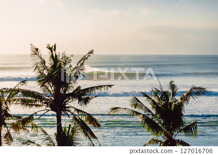 Crashing ocean waves and coconut palms foliage. Swell waves for surfing Crashing ocean waves and coconut palms foliage. Swell waves for surfing 127016706