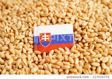 Slovakia flag on grain wheat, trade export and economy concept. 127016778