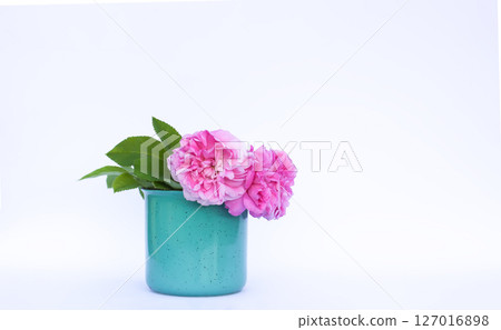 Pink roses in the ceramic mug on a white background. Pink roses in the ceramic mug on a white background. 127016898