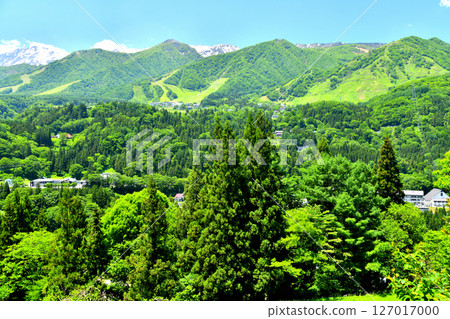 View of Hakuba Norikura Onsen Ski Resort and the Hakuba Cortina Ski Resort area (Otari Village, Nagano Prefecture) [2025.6] 127017000