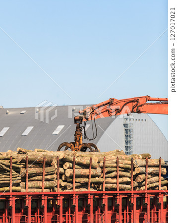 pile of logs at the port ready for loading to ships 127017021