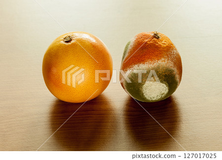 Ripe and moldy grapefriut. Ripe and moldy grapefriut. 127017025