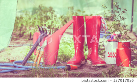 Gardening tools outdoor in garden Gardening tools outdoor in garden 127017056