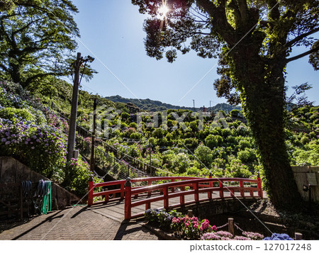 Scenery of Katahara Onsen Hydrangea Village 127017248
