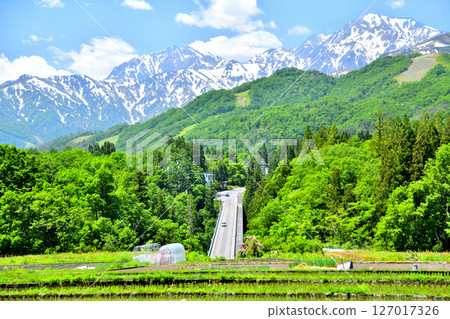 栂池全景橋/鹿島矢里山、五龍山、八方尾根地區（長野縣小谷村）景觀[2025.6] 127017326