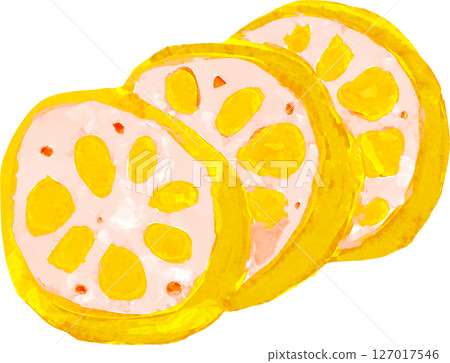 Illustration of mustard lotus root 127017546