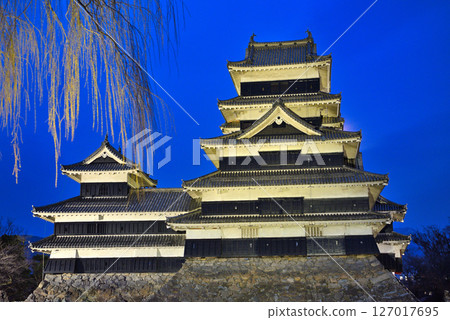View from Matsumoto Castle Park in the Chubu region, Matsumoto Castle rising into the clear night sky of Shinshu, Matsumoto City, Nagano Prefecture (1) 127017695