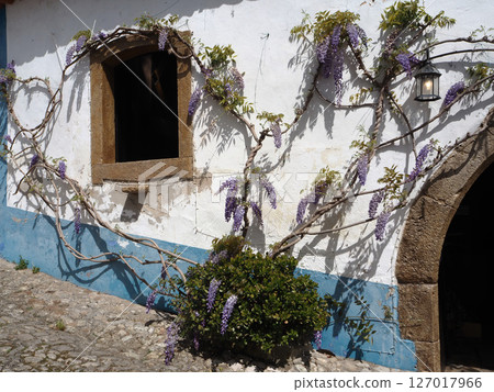 View of Obidos View of Obidos 127017966